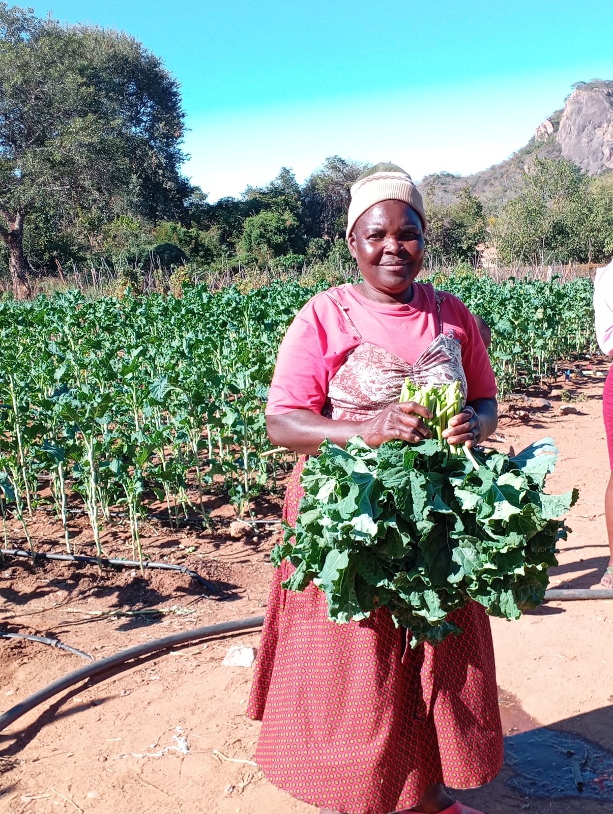 Community Garden Infrastructure