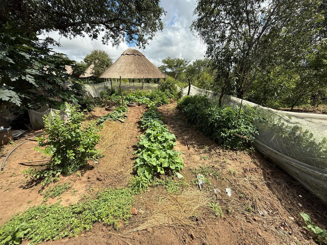 Permaculture at Murawi Primary School & the Nook