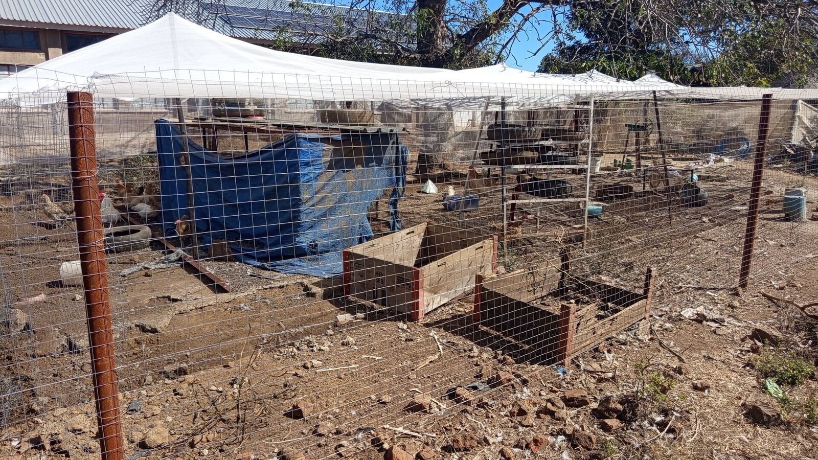 Permaculture learning area