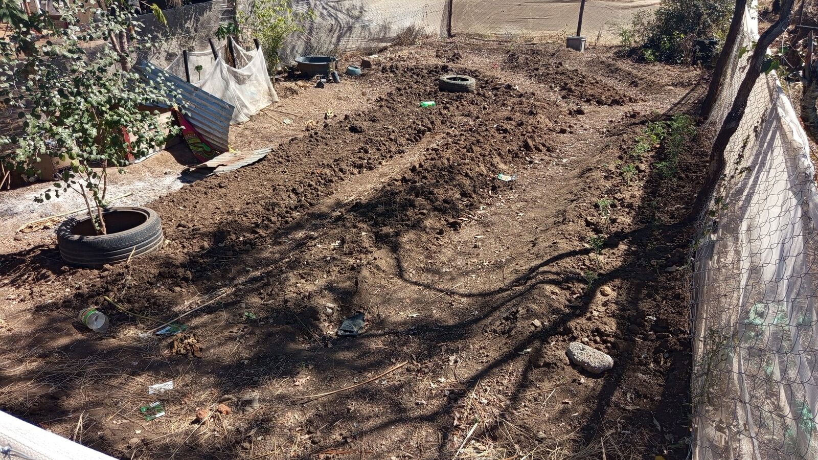 Permaculture gardens for agricultural training