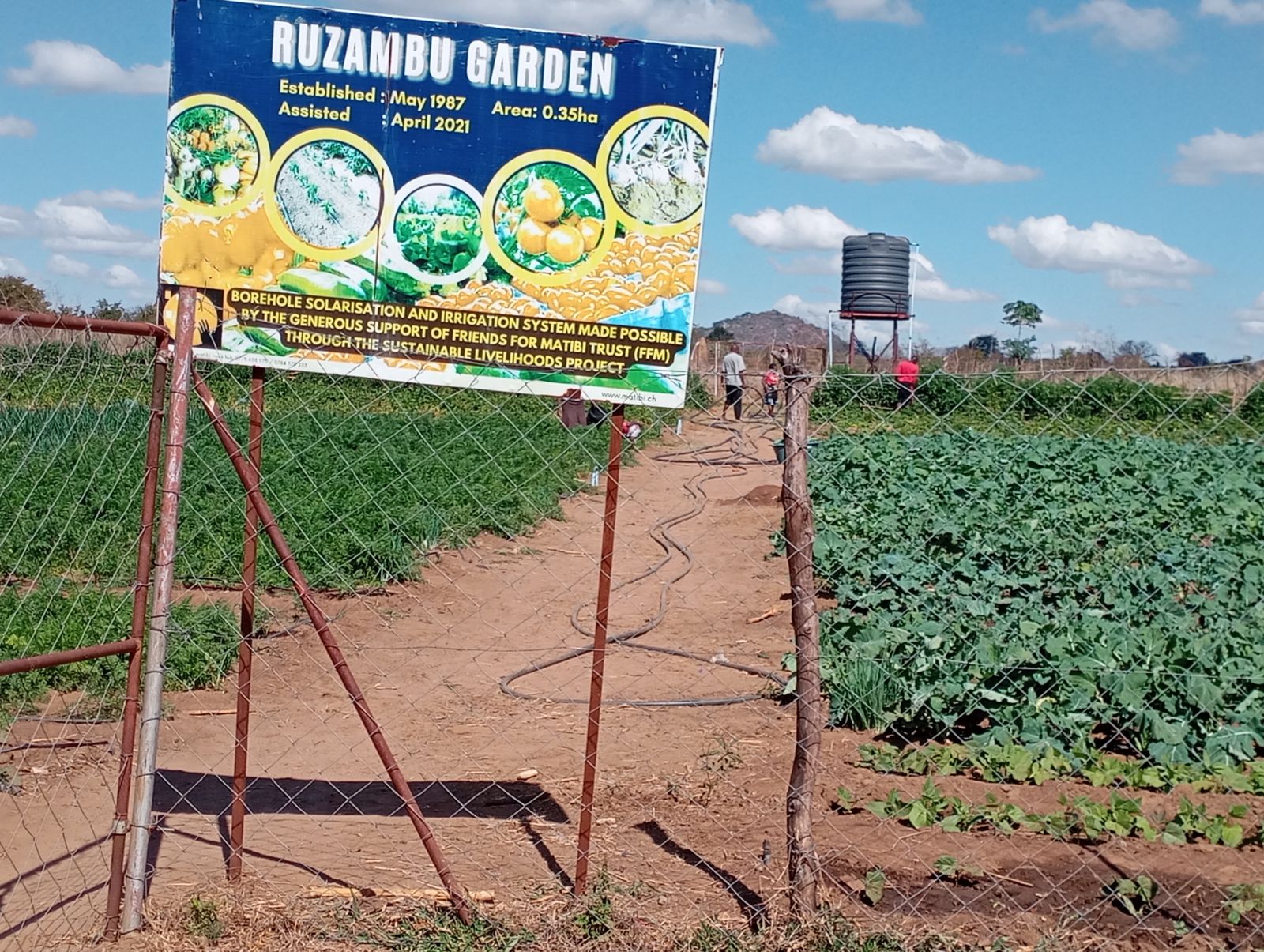 Community Gardens