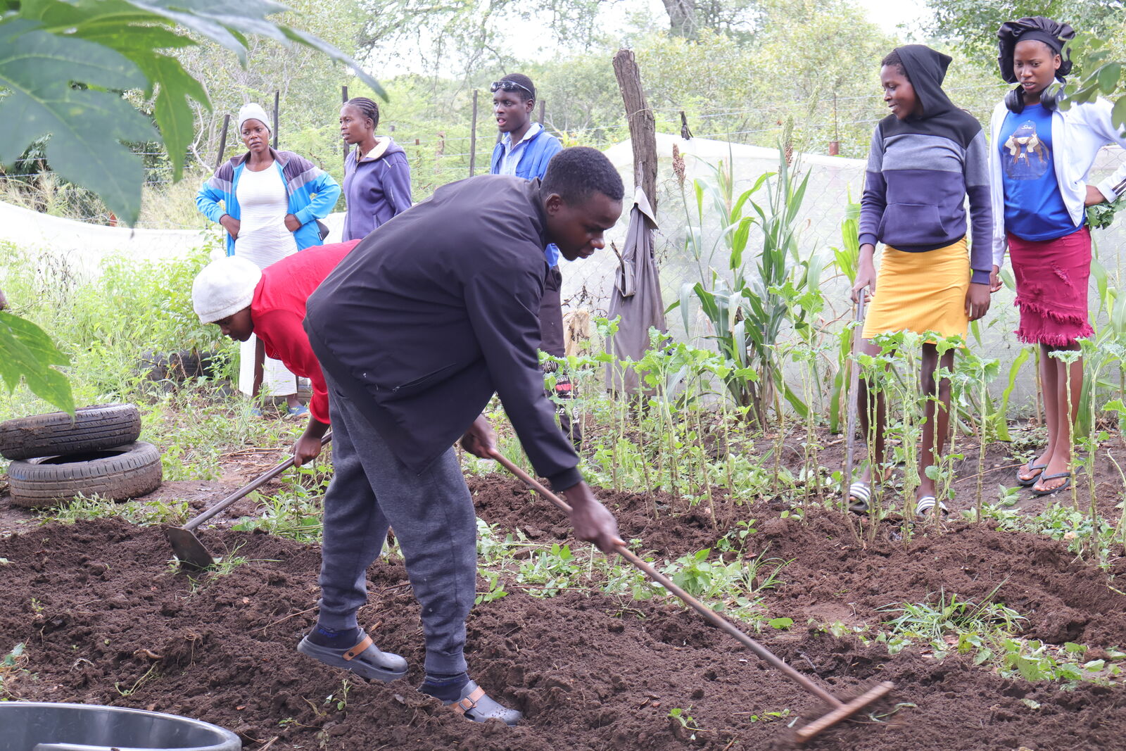 Learners Thrive in the Organic Garden